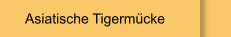 Asiatische Tigermücke