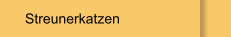 Streunerkatzen